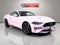 2022 Ford Mustang Base