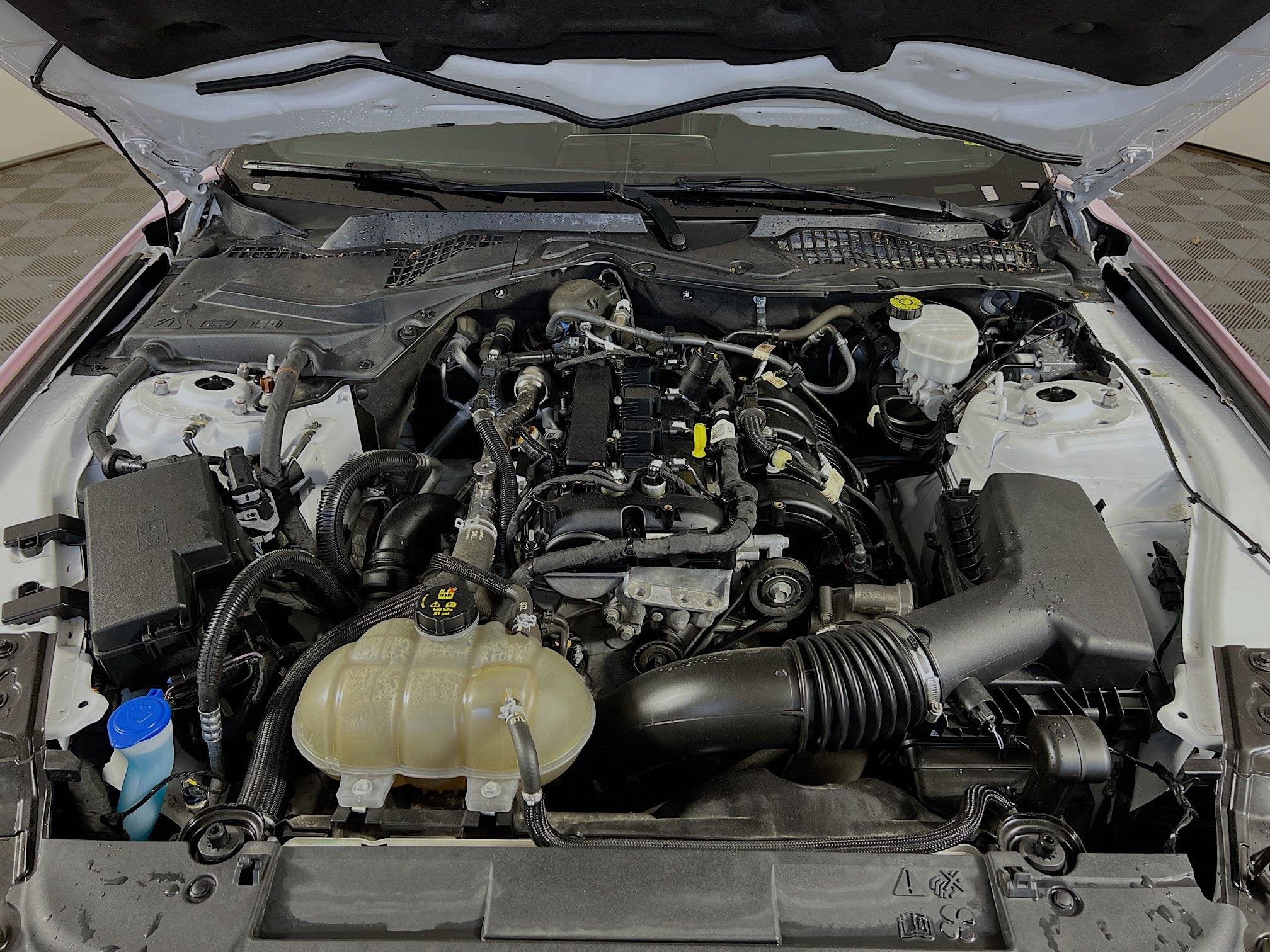 2022 Ford Mustang Base