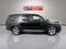 2024 Honda Pilot EX-L 8 Passenger