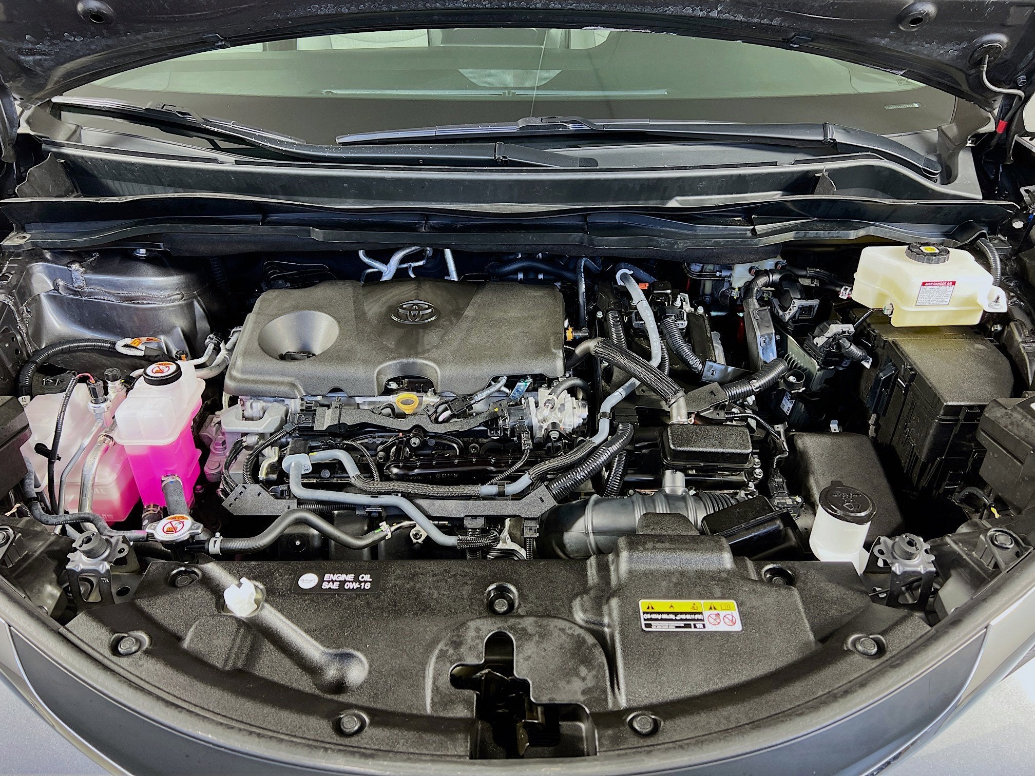 2025 Toyota Sienna LE