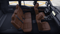 2027 Toyota Land Cruiser 4WD (Natl)